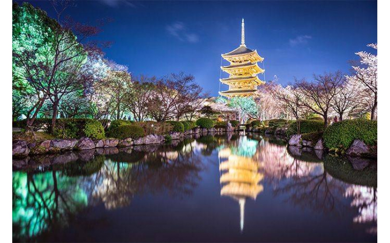 如何打造出讓市民滿意的公園亮化工程？